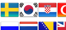 Flag 3