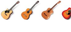 Acoustic Guitars