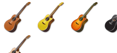 Acoustic Guitar