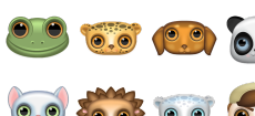 Zoom-eyed creatures